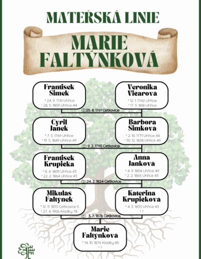 ukázka rodokmenu mateřská linie
