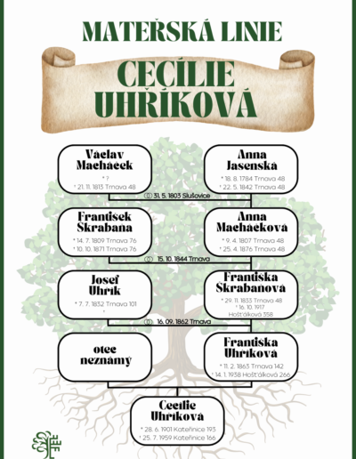 ukázka rodokmenu mateřská linie